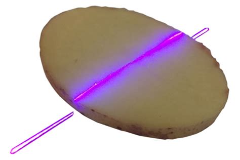 mico espsilonm thickness and volume measurement of potato slices|Micro.